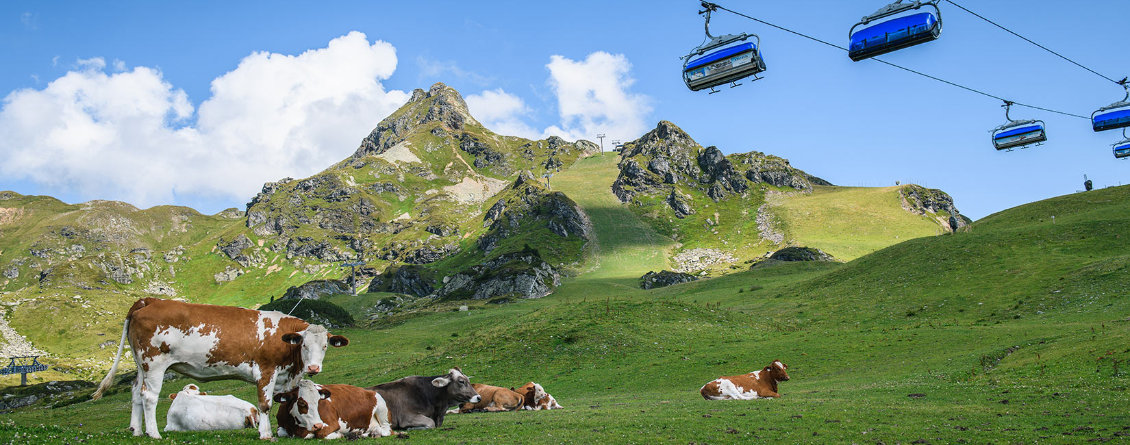 central_header_sommer_bergwandern