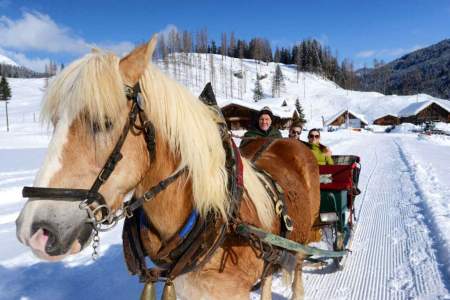 Carriage rides through the mountain paradise